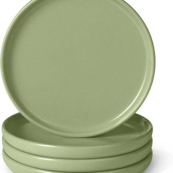 Glazed Stoneware Salad Plates, Ceramic 4-Piece Set, Microwave and Dishwasher-Safe, 8.3 in., Olive